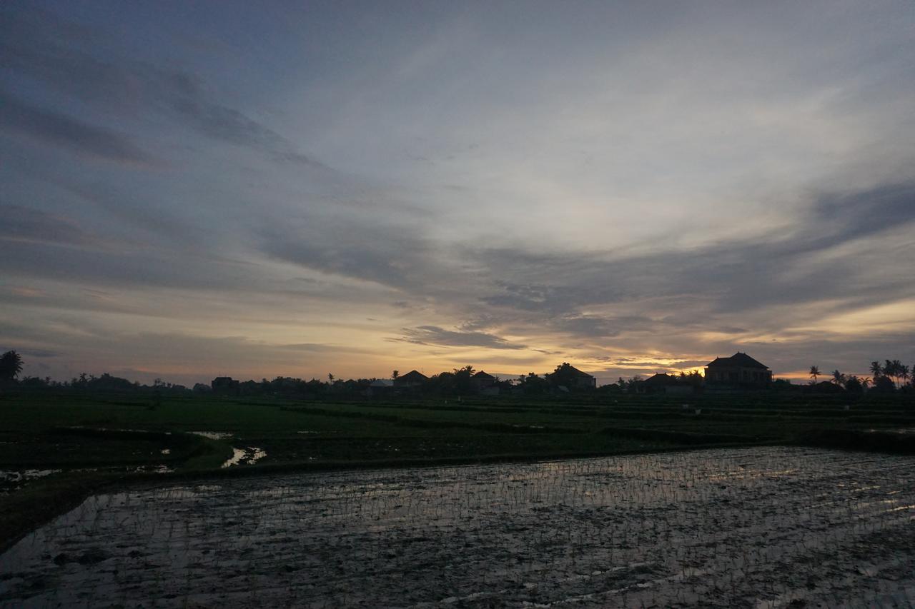 Pondok Uma Ubud 외부 사진