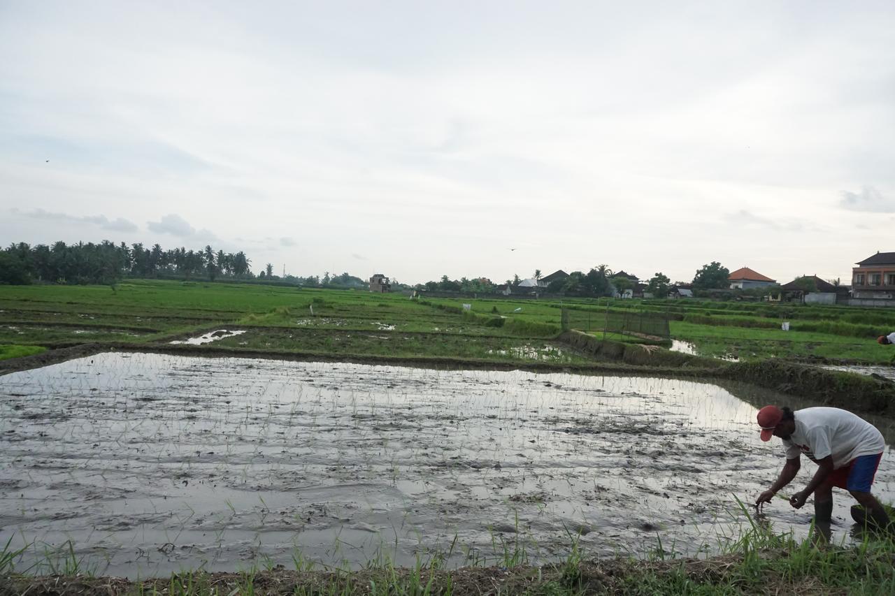 Pondok Uma Ubud 외부 사진